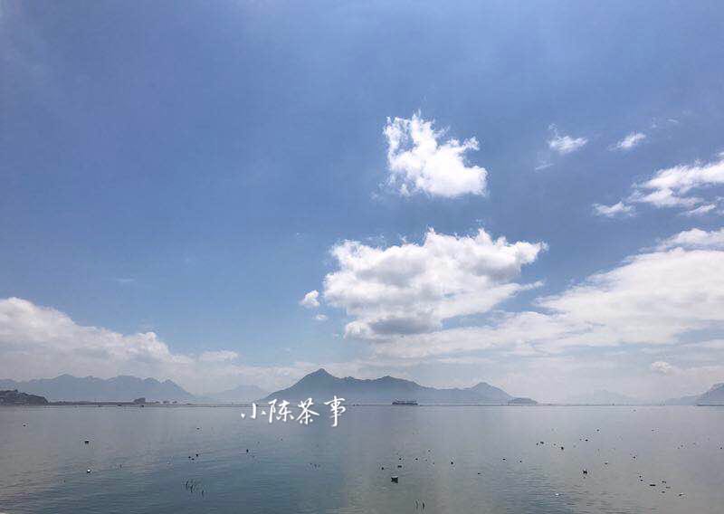 白茶红茶绿茶普洱茶哪种最好,绿茶白茶铁观音红茶哪种茶好