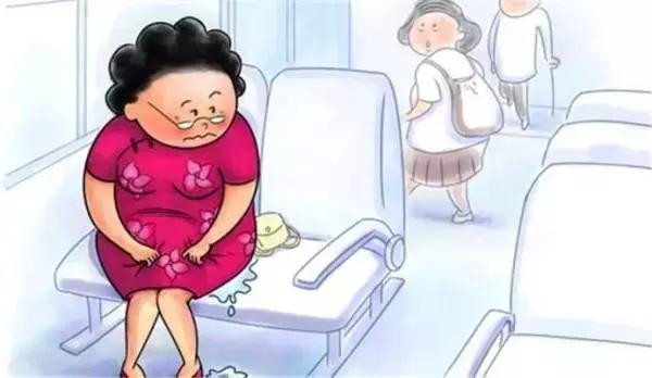 骨盆底肌位置,老司机带你了解车子