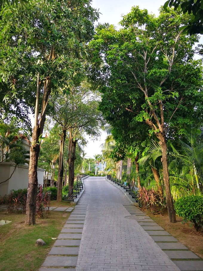 带着老妈和宝贝游三亚（两家铂尔曼和亚龙湾红树林度假之旅）