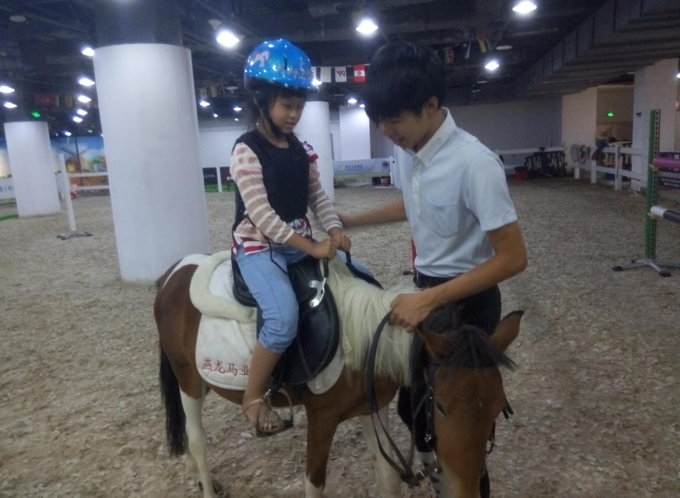 初学骑马的技巧视频,新手骑马的基本要领有哪些呢