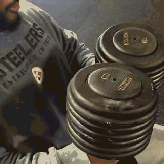 NFL训练分析之詹姆斯哈里森——上肢动作篇大汇总