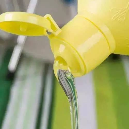 家庭花盆种菜长虫子怎么治理,花盆土里有虫怎么自制杀虫剂