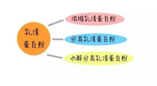 健身白蛋白粉,健身鸡蛋有营养的是蛋黄还是蛋白