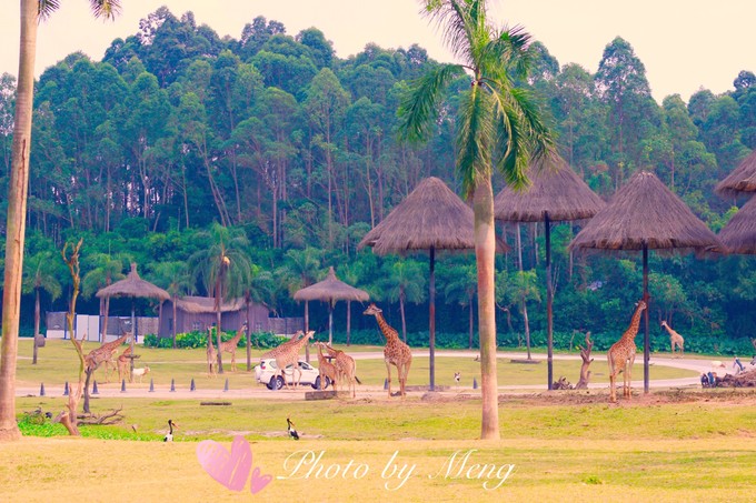 广州长隆水上乐园亲子游攻略视频,珠海长隆海洋快速通道亲子游攻略