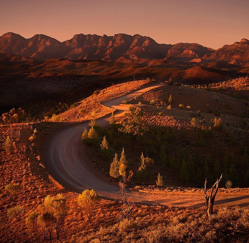 澳大利亚留学签证一直未受理,澳大利亚2020年移民审批进度