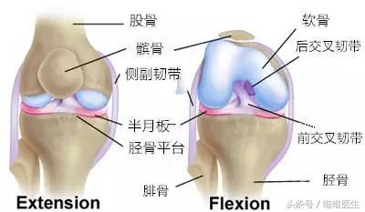 膝盖疼痛治疗经验分享,膝关节总结