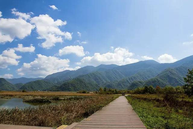 北纬30°神秘之境,在高山草甸、追逐鹿群,这里美的像天堂!