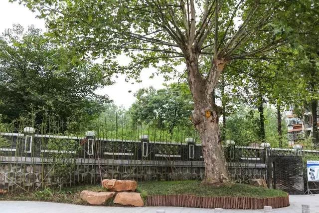 迈皋桥景观改造,迈皋桥老街换新颜