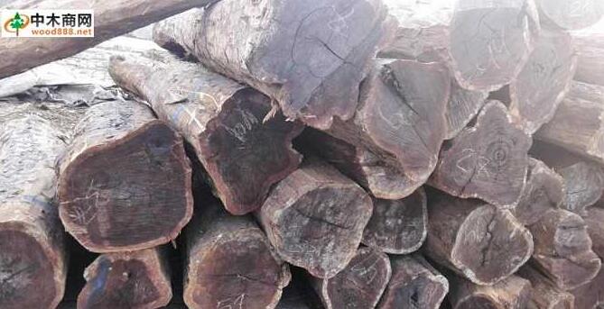 黑酸枝怎么鉴别,黑酸枝真伪