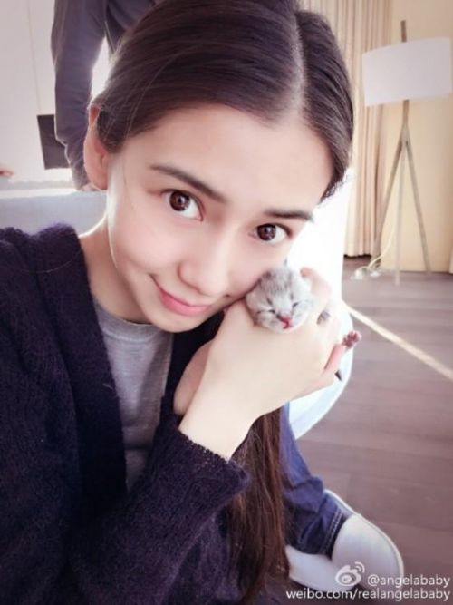 孕期养宠物注意事项,孕期养宠物需要注意什么