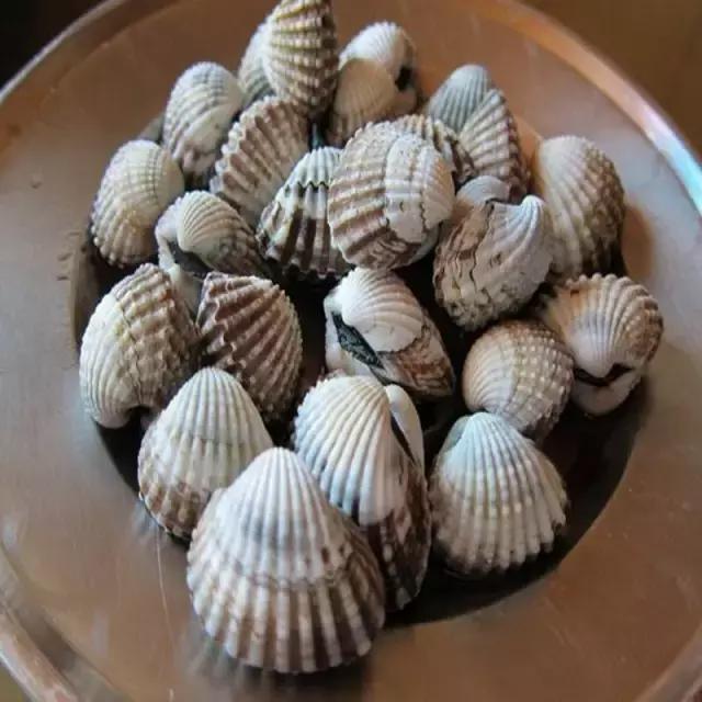 又到吃海鲜的季节咯！一位吕四渔民整理的海鲜大全，保证有你不认识的！