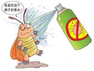 鼻甲肥大是不是就是腺样体肥大,鼻甲肥大是不是鼻头看起来比较大