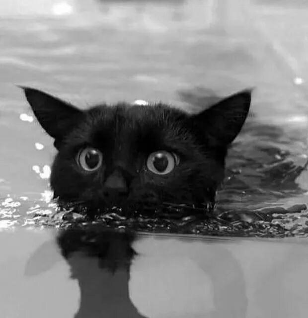 微信相册封面怎么删除,微信相册封面尺寸比例