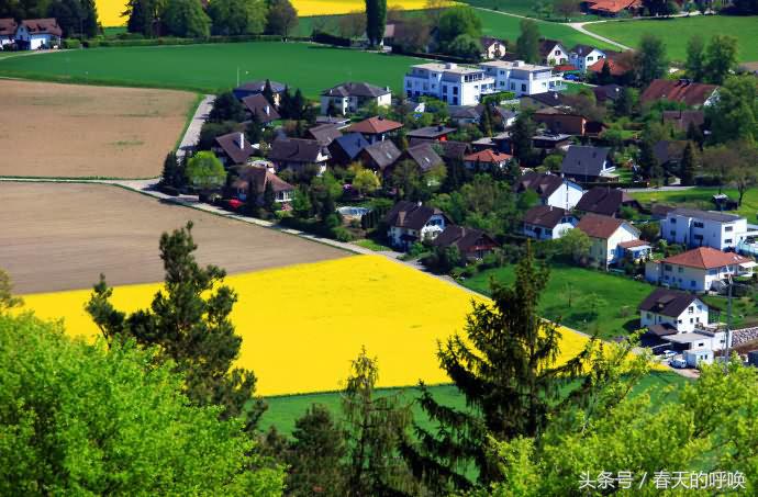 莱茵河畔最美的小镇,莱茵河畔最美小镇