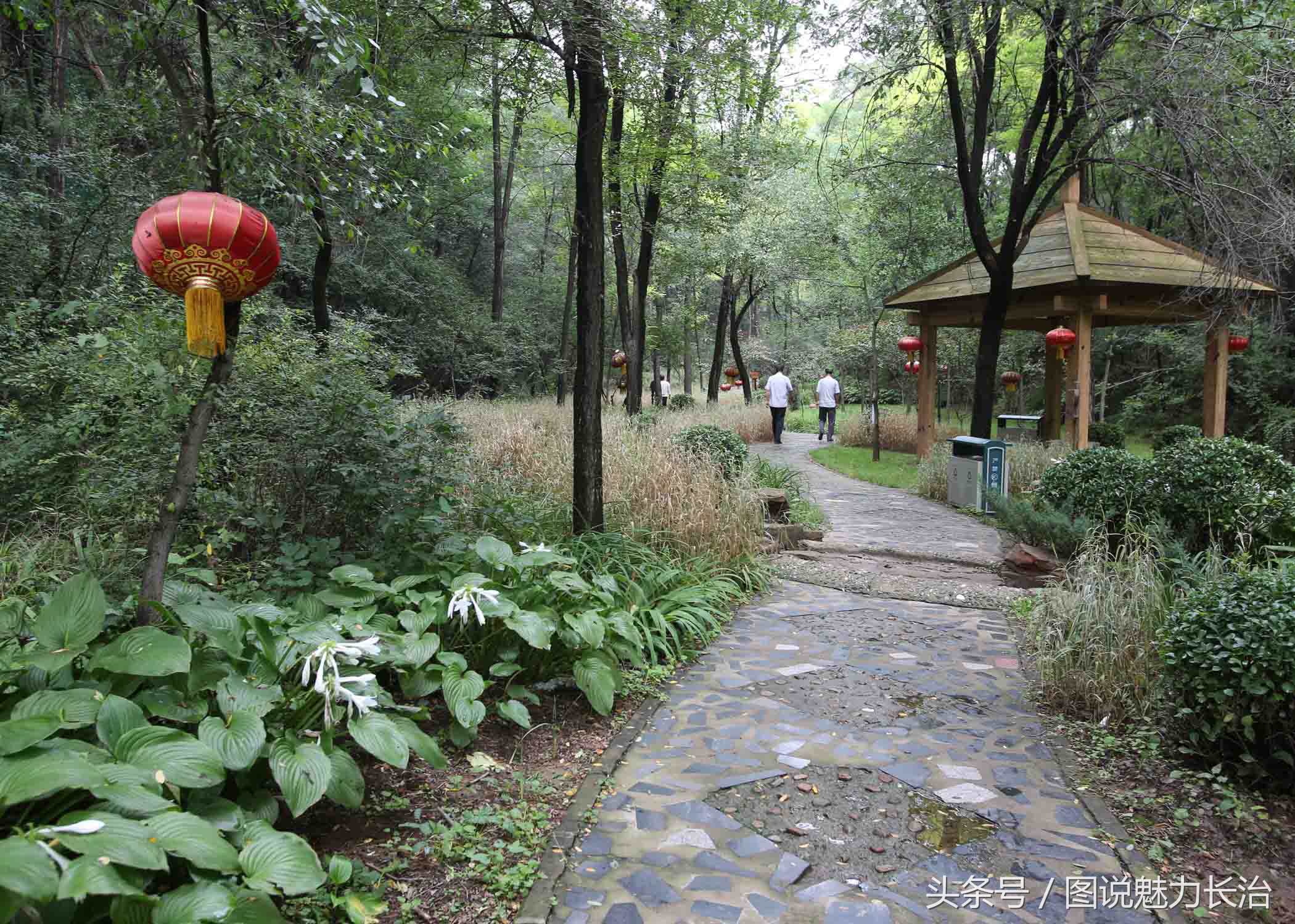 全国百城市足球峰会,2019全国城市足球开幕式