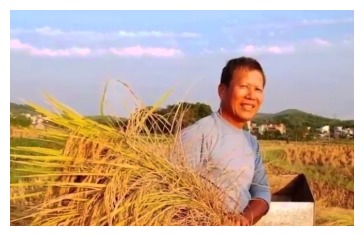 狗发疯咬人如何给他致命一击,养了8年的狗狗突然发狂咬人