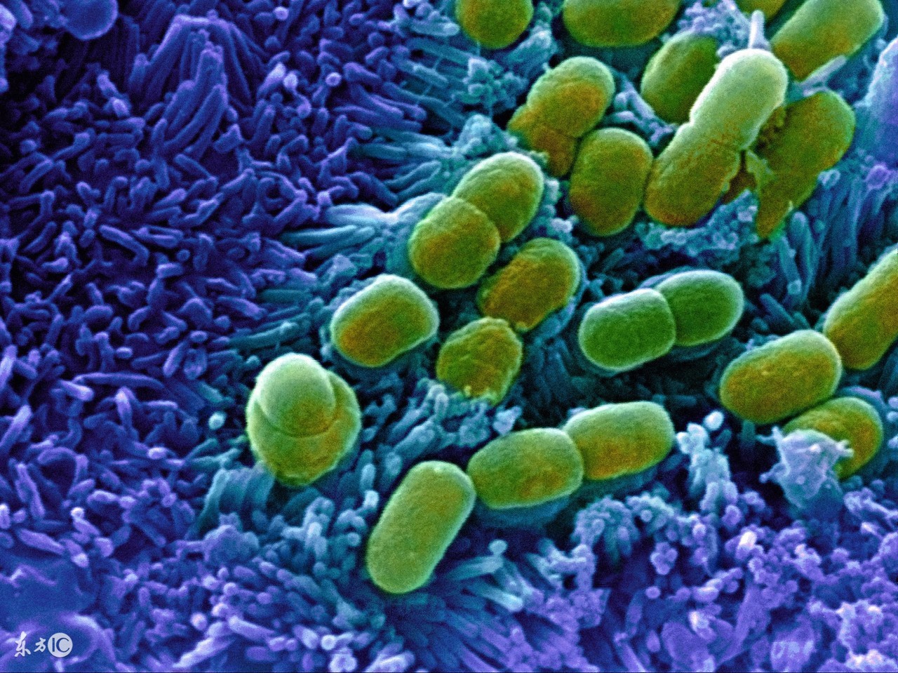 8个你不愿意接受的冷知识你知道几个?