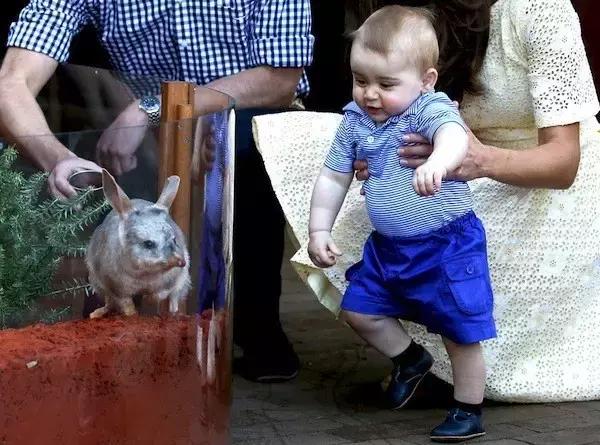 英国最富有的小公主,英国最幸福的公主