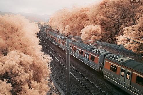 相守陪伴是最长情的誓言,陪伴是最长情的告白幸福的时刻