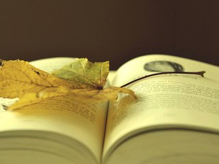 文言文怎么学得更好一些,文言文一般怎么学好