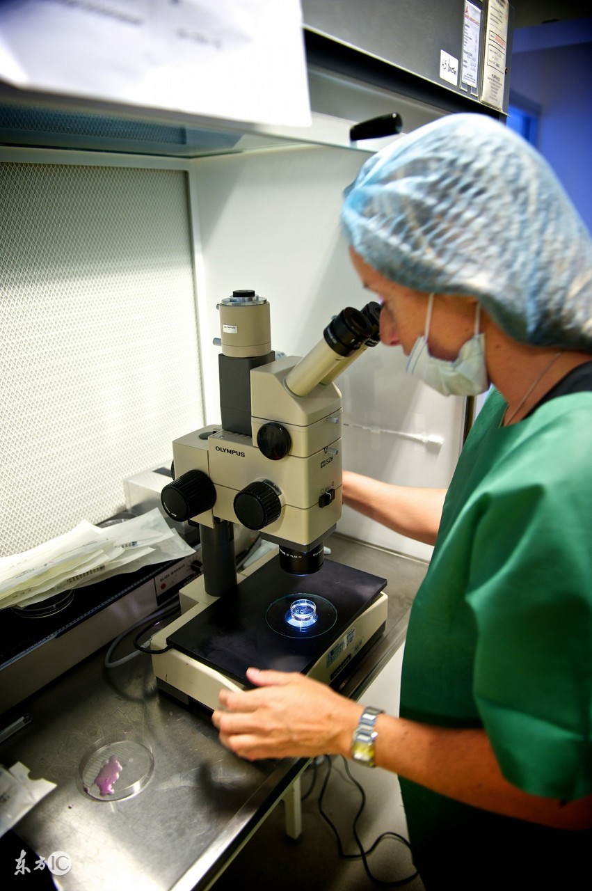 男人,请一定心疼你做试管婴儿的妻子