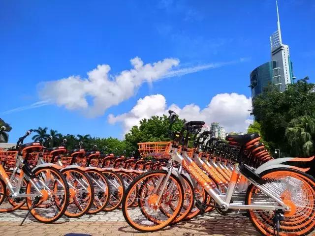 上海最严限行将影响多少外地车,上海全面禁摩事件