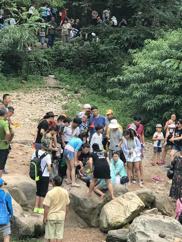 心跳骤停救人好心人,乘客心跳骤停路过医生妙手回春