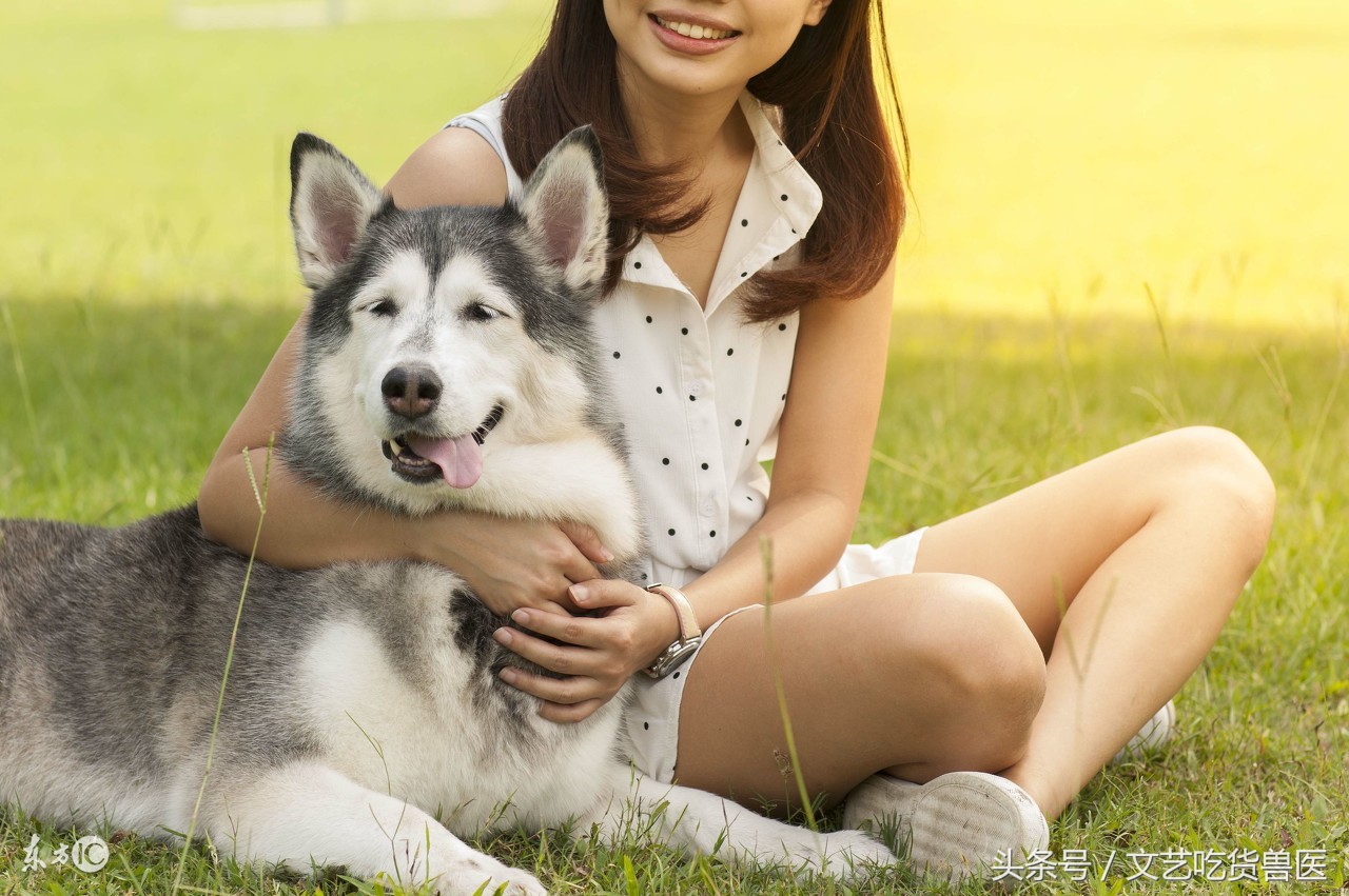 战狼2为什么会如此成功,战狼2破56亿