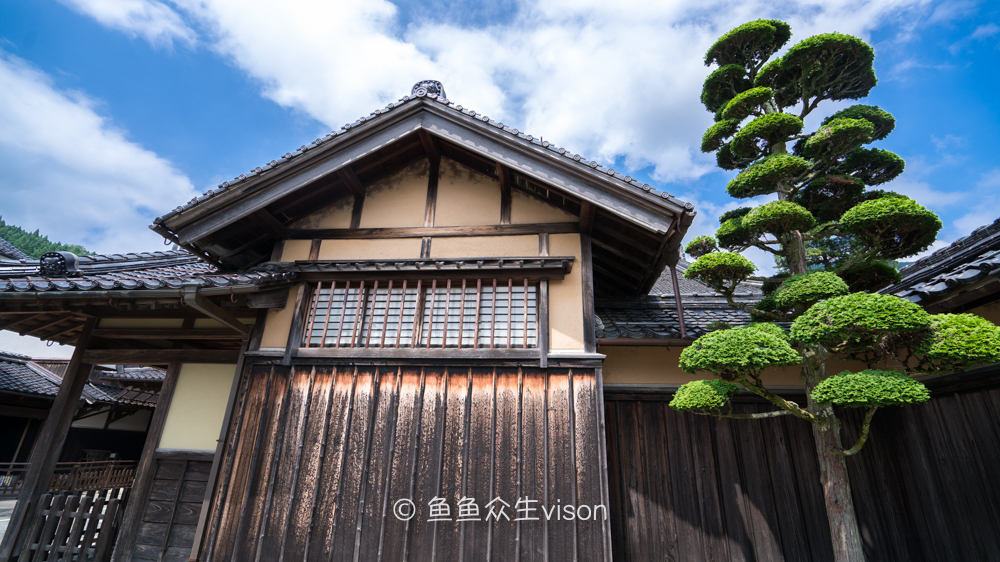 日本东京大阪最值得去的地方,日本大阪深度游攻略