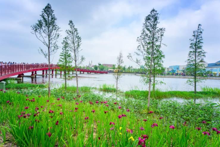 去上海迪士尼玩的详细攻略,去上海迪士尼玩一天的攻略