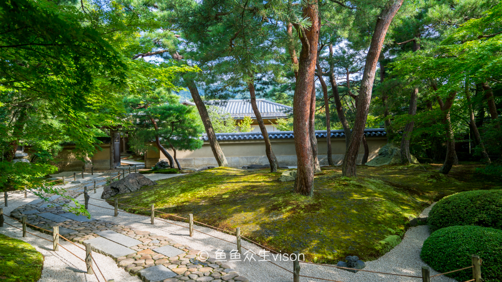 这里是日本,日本旅游柯南故乡