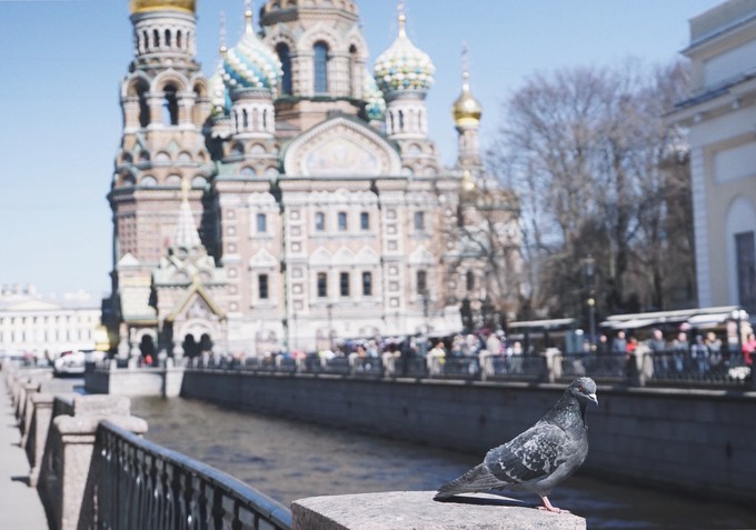 旅行日记探索美丽风景与人文魅力,圣彼得堡旅游日记