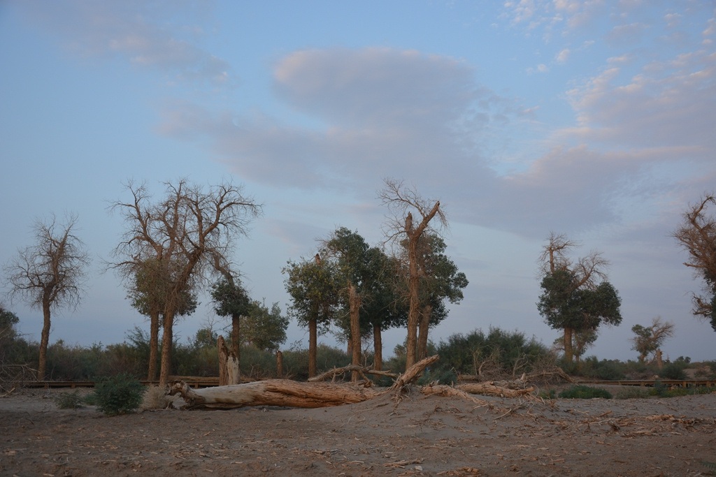 西安到阿拉善左旗自驾游攻略,西安到阿拉善三日游