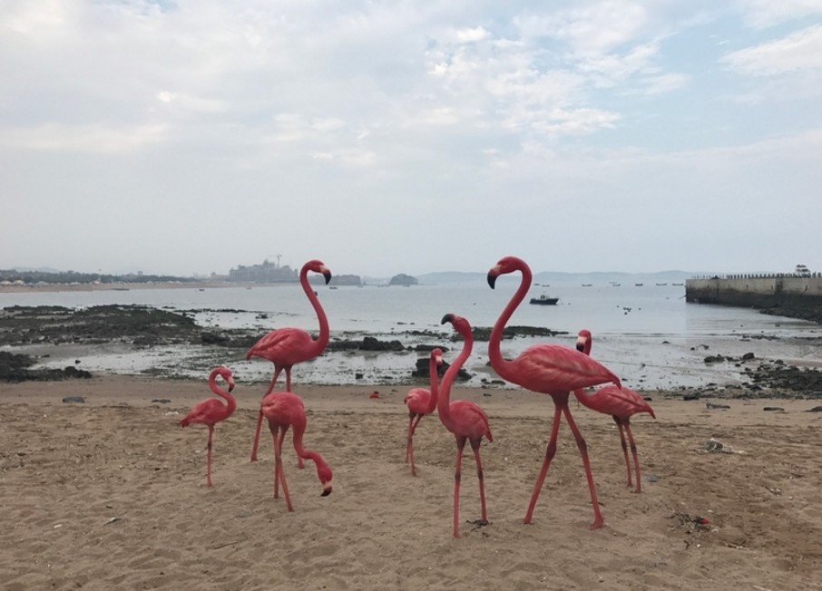 吴京导演《战狼2》让大家都以为这个场景是在非洲,其实就在国内