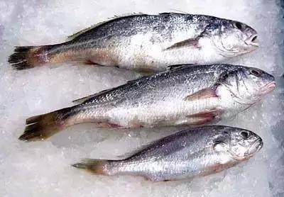 又到吃海鲜的季节咯！一位吕四渔民整理的海鲜大全，保证有你不认识的！