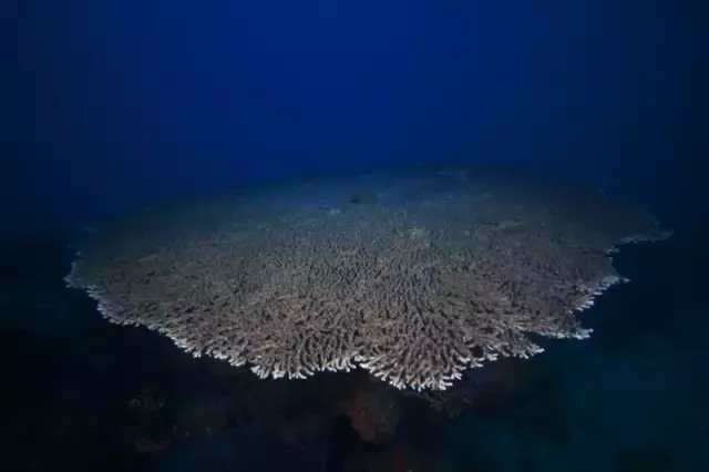 暑假菲律宾夏令营,菲律宾pg岛住宿攻略