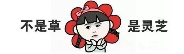 可以真正美白的美白神器,一黑毁所有对吗