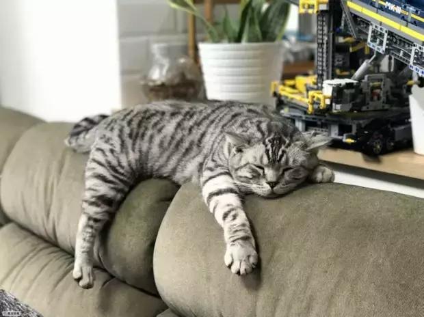 阿里巴巴20年年会员工吐槽老板,阿里巴巴年会吐槽高管