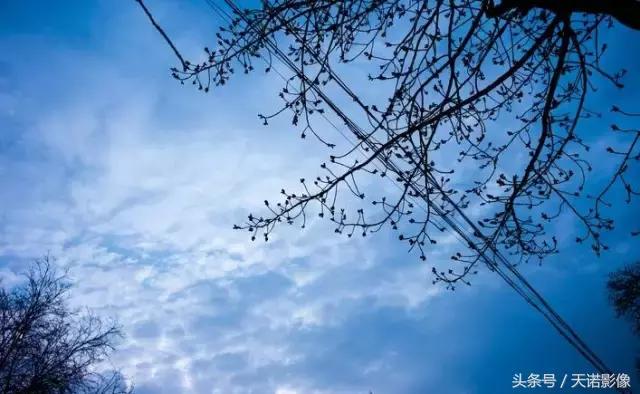 最便宜的徕卡型号 (十几万的徕卡)