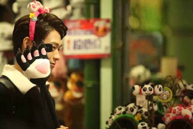 长隆半价|像某对明星CP一样约会吧