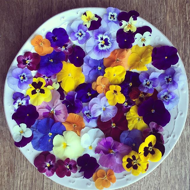 撩妹用什么棒棒糖,撩妹神器手工