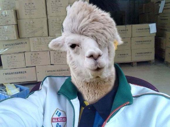 刘海变形了怎么打理,平刘海变形怎么变回原样