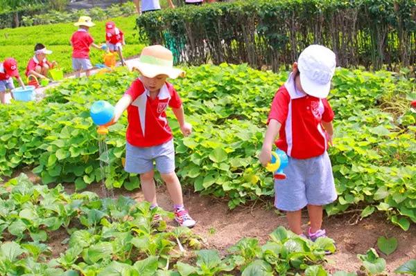 亚龙湾红树林酒店室内玩乐,亚龙湾红树林酒店潜水体验