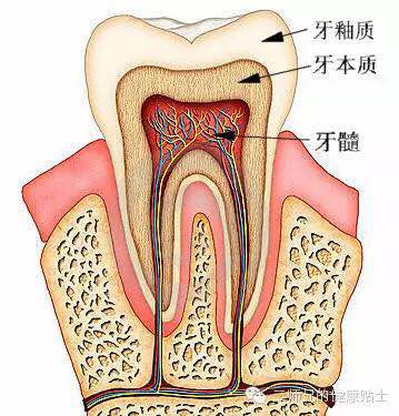 牙痛了几天好像连头也会痛,牙痛会上边痛过几天还下牙痛吗