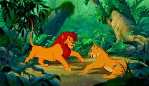 用美学角度赏析疯狂动物城,疯狂动物城原著