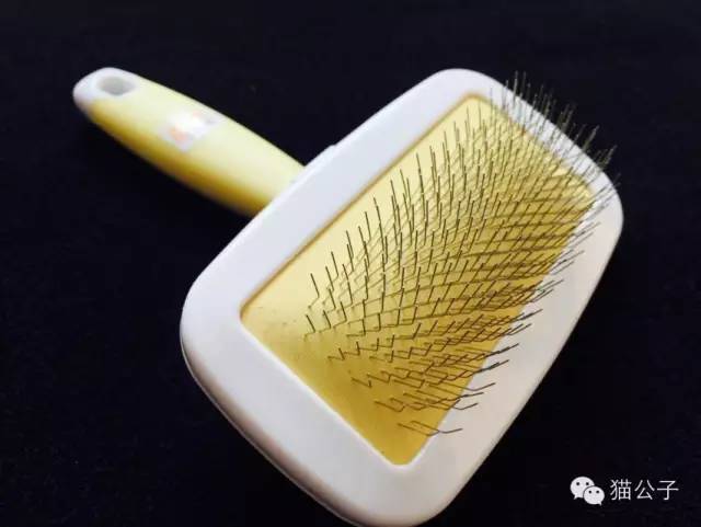 到处都是猫毛,短毛猫梳和长毛梳什么区别