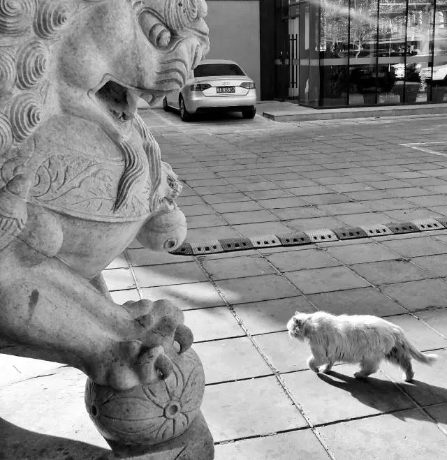 CMPA|2016年3月17日编辑推荐作品