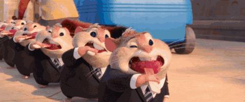 疯狂动物城里的城市叫什么,疯狂动物城里的12个生态区