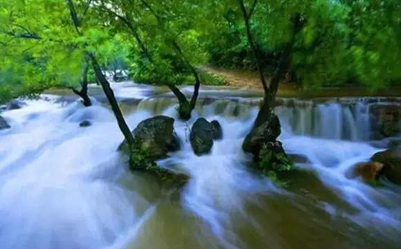 连云港旅游年卡哪些景点可以用呢,连云港旅游年卡在哪里办理