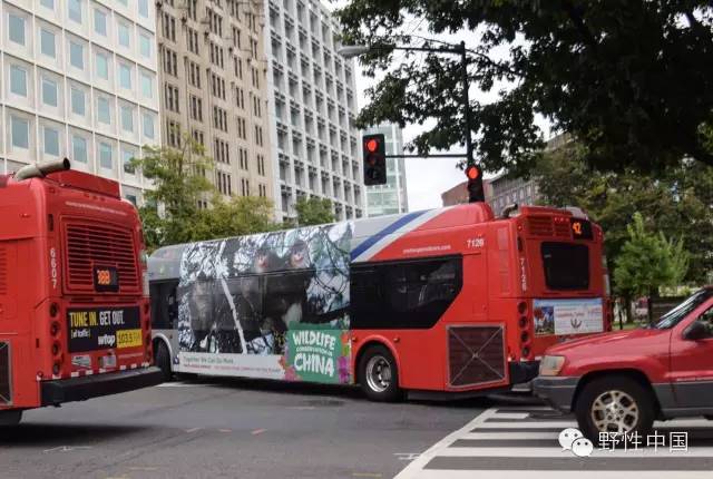 奚志农带队-10天9晚不丹之旅,4月24日出发